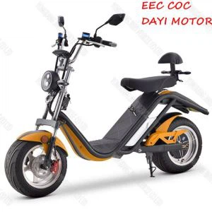 2100W EEC COC Ewrop Warws Citycoco