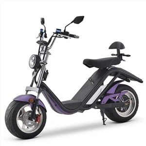 DAYI EEC 2000W 25KM/H COC E-Scooty